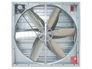 Cow cattle farming cooling fans